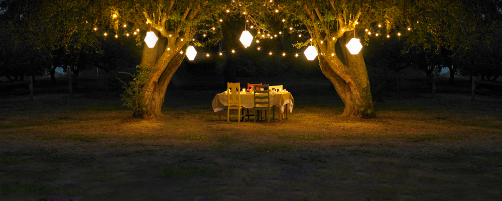 Dining-under-trees-large